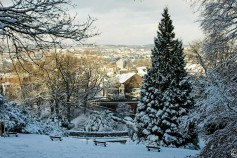 20240116-9A1A0064-Barmer-Anlagen-Winter