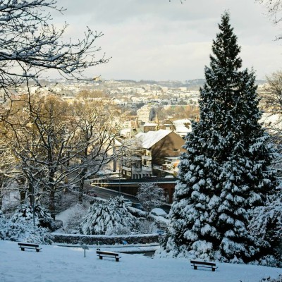20240116-9A1A0064-Barmer-Anlagen-Winter