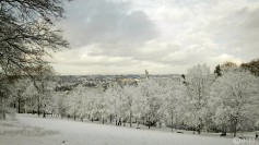 20240116-9A1A0073-Barmer-Anlagen-Winter