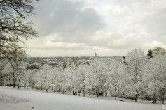 20240116-9A1A0073-Barmer-Anlagen-Winter