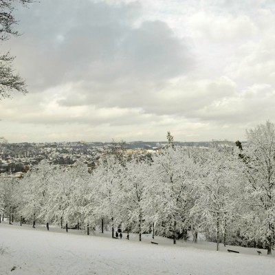 20240116-9A1A0073-Barmer-Anlagen-Winter