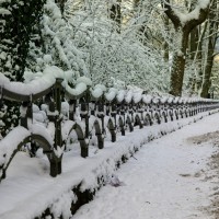 20240116-9A1A0076-Winter