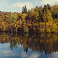 20241031-9A1A1735-Herbs-Ronsdorfertalspere