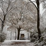 20241121-9A1A1816-Erste-Schnee-Tag2