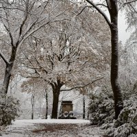20241121-9A1A1816-Erste-Schnee-Tag2