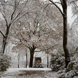 20241121-9A1A1816-Erste-Schnee-Tag2