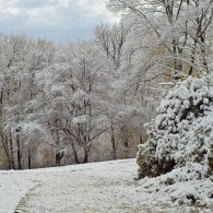 20241121-9A1A1828-Erste-Schnee-Tag2 20241121-9A1A1828-Erste-Schnee-Tag2