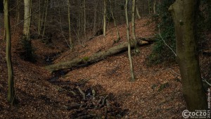 20250128-9A1A2550-Nordpark-im-Januar2025