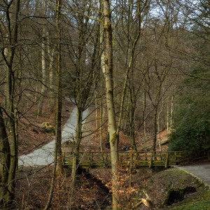 20250128-9A1A2552-Nordpark-im-Januar2025