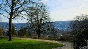 2026-01-17-9A1A6027-Scheideweg