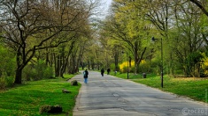 2026-03-23-9A1A6925-2026-Wuppertal-Hardt