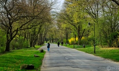 2026-03-23-9A1A6925-2026-Wuppertal-Hardt
