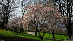 2026-03-23-9A1A6934-2026-Wuppertal-Hardt