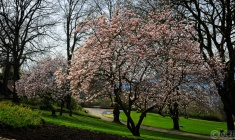 2026-03-23-9A1A6934-2026-Wuppertal-Hardt