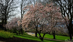 2026-03-23-9A1A6934-2026-Wuppertal-Hardt