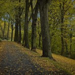 Herbst-Farben-2025-1