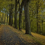 Herbst-Farben-2025-1 Herbst-Farben-2025-1