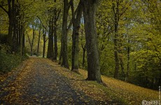 Herbst-Farben-2025-1