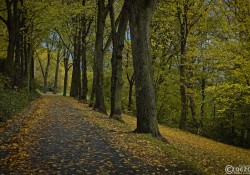 Herbst-Farben-2025-1 Herbst-Farben-2025-1