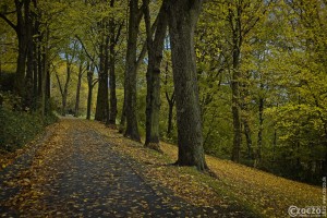 Herbst-Farben-2025-1