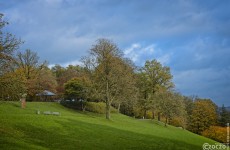 Herbst-Farben-2025-2