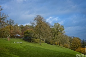 Herbst-Farben-2025-2