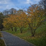 Herbst-Farben-2025-3