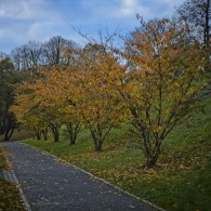 Herbst-Farben-2025-3 Herbst-Farben-2025-3