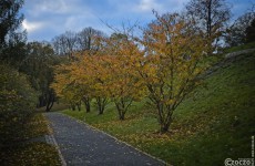 Herbst-Farben-2025-3