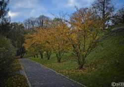 Herbst-Farben-2025-3 Herbst-Farben-2025-3