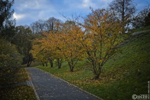 Herbst-Farben-2025-3