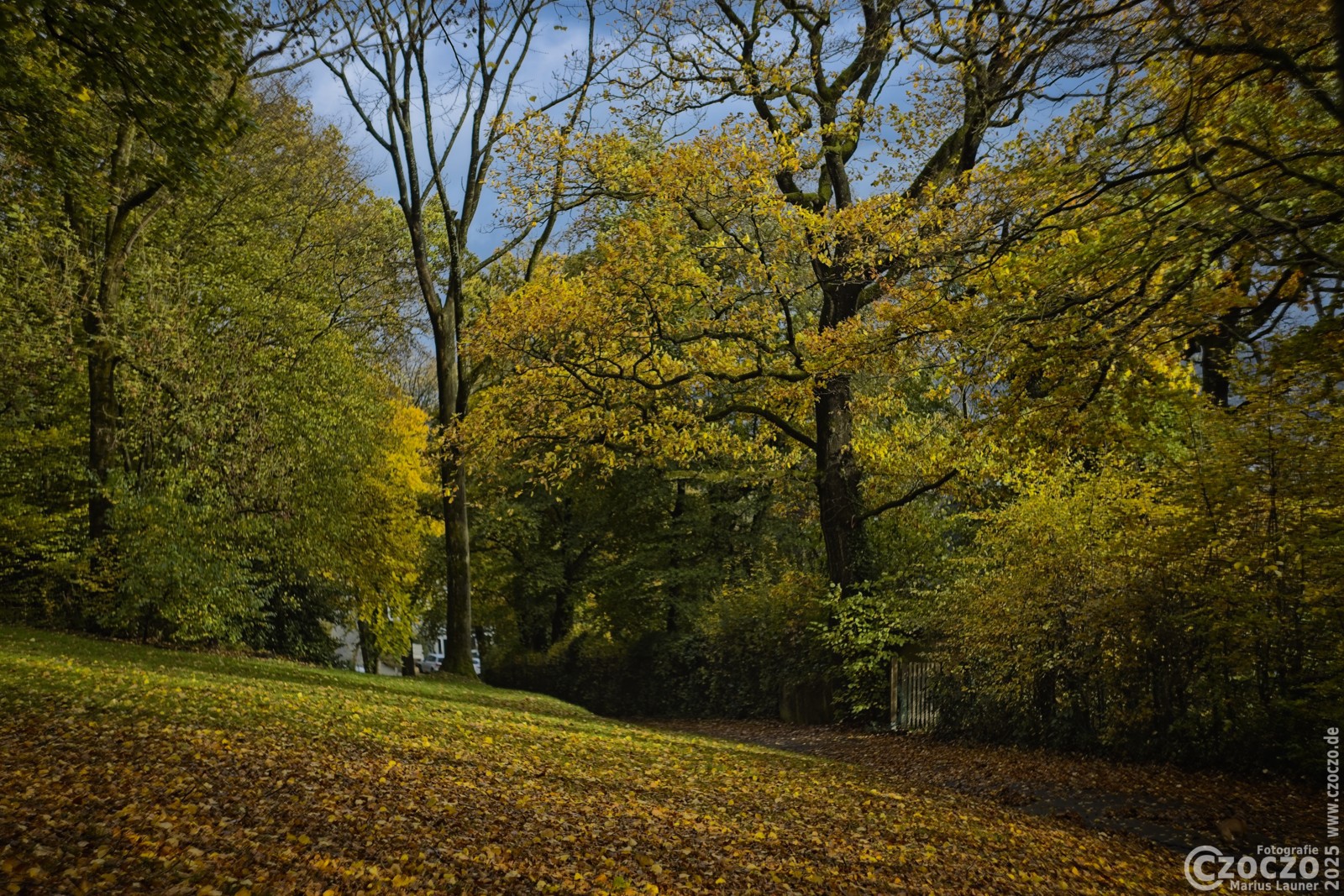 Herbst-Farben-2025