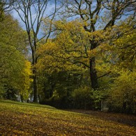 Herbst-Farben-2025 Herbst-Farben-2025