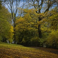 Herbst-Farben-2025