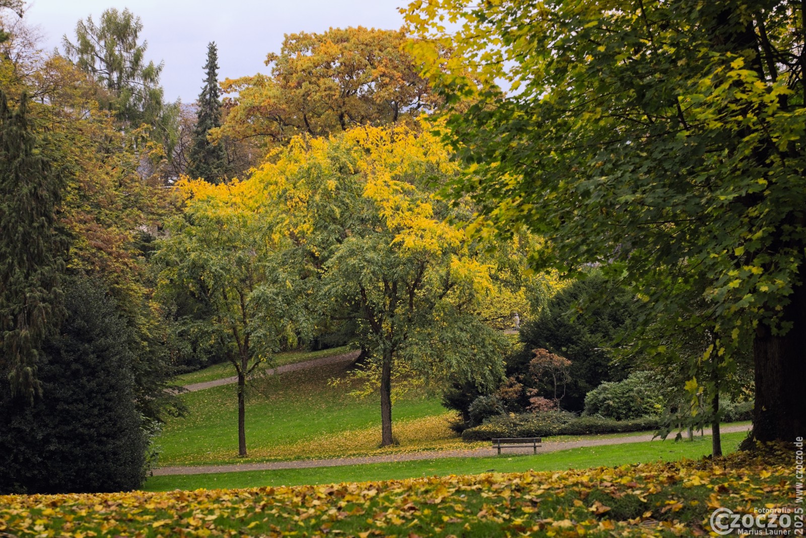 Herbstfarben-2025-5