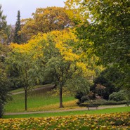 Herbstfarben-2025-5