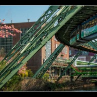 IMG_1688-BAYER IMG_1688-BAYER