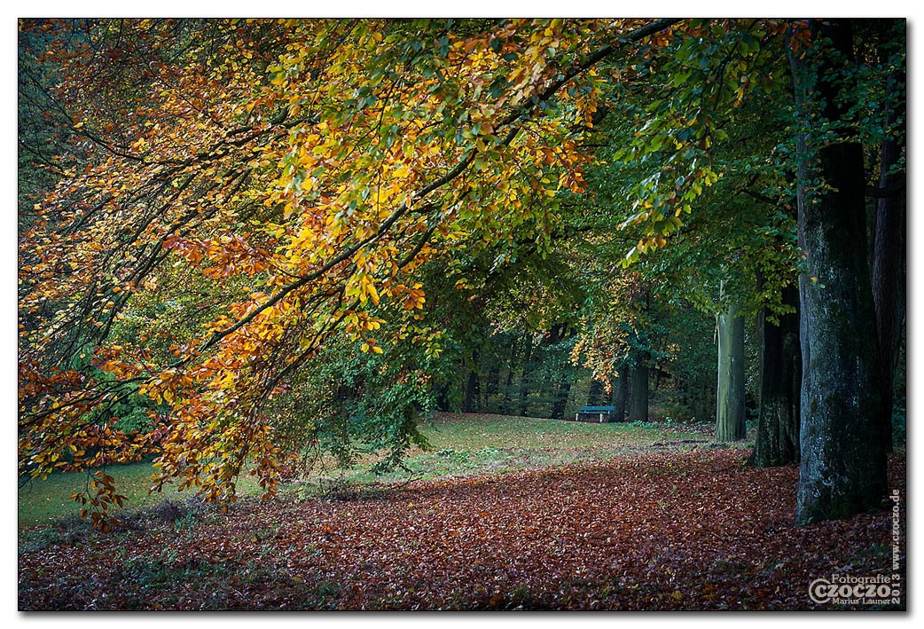 herbst2013