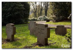 hingestellt_mg_1484.jpg