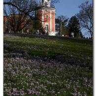 img_4396.jpg img_4396.jpg