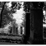img_7877