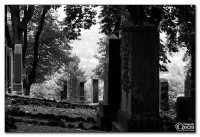img_7877