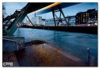 img_8524