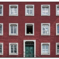 rote-fasade rote-fasade