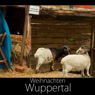 weihnachten weihnachten