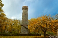 1_20231111-9A1A3310-Toelleturm