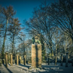 20170119-IMG_8843-Ehrenfriedhof Barmen