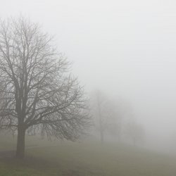 20190126- Nebel - IMG_2365