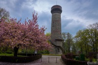 20220426-9A1A6416-LR-Toelleturm