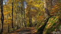 20241105-9A1A1746-Wandern-Ronsdorfertalsperre